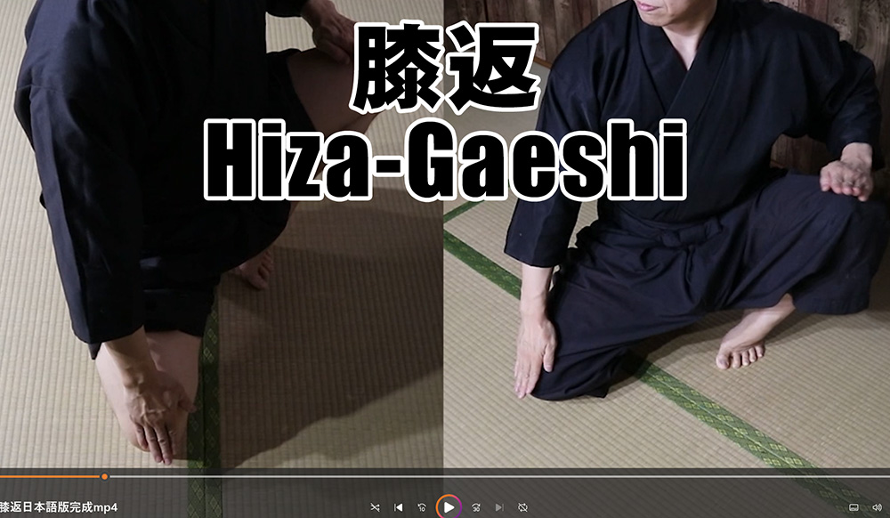 Hizagaeshi